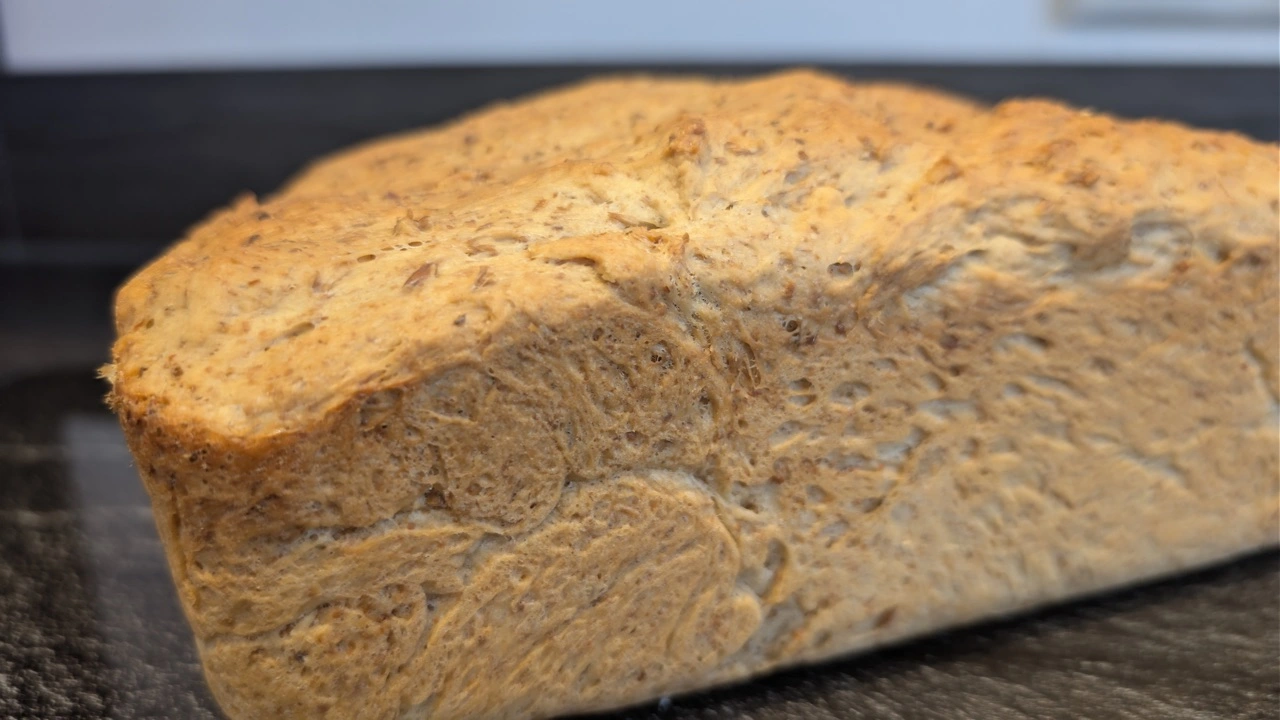 Das fertig gebackene Treberbrot